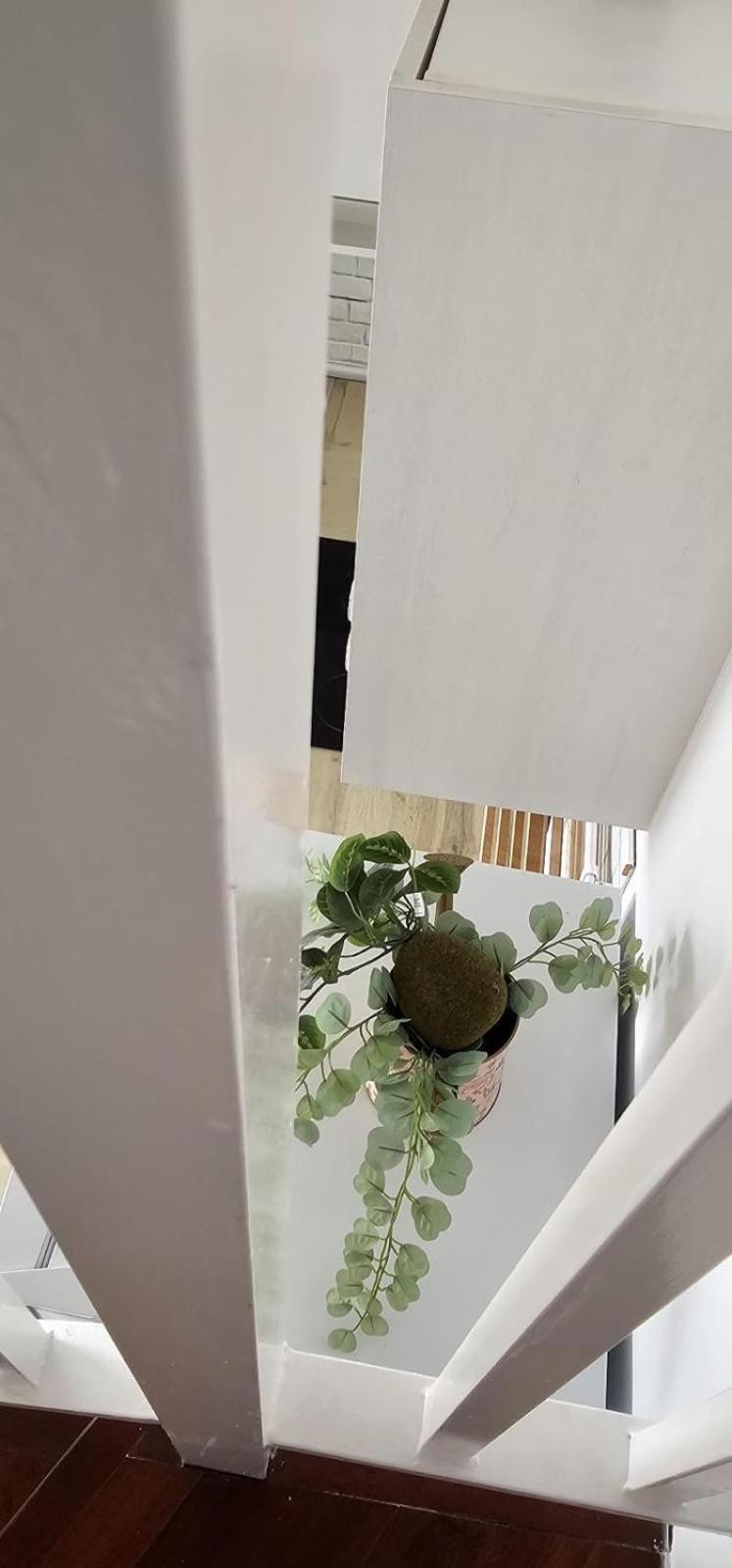 Apartamentos Tocororo Cotillo Zewnętrze zdjęcie